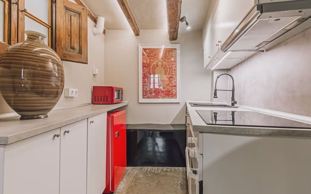 Kaupallinen myytävänä paikassa Sant Pere, Santa Caterina i La Ribera, Barcelona kaupunki - 269 000 € (Ref: 9915030)