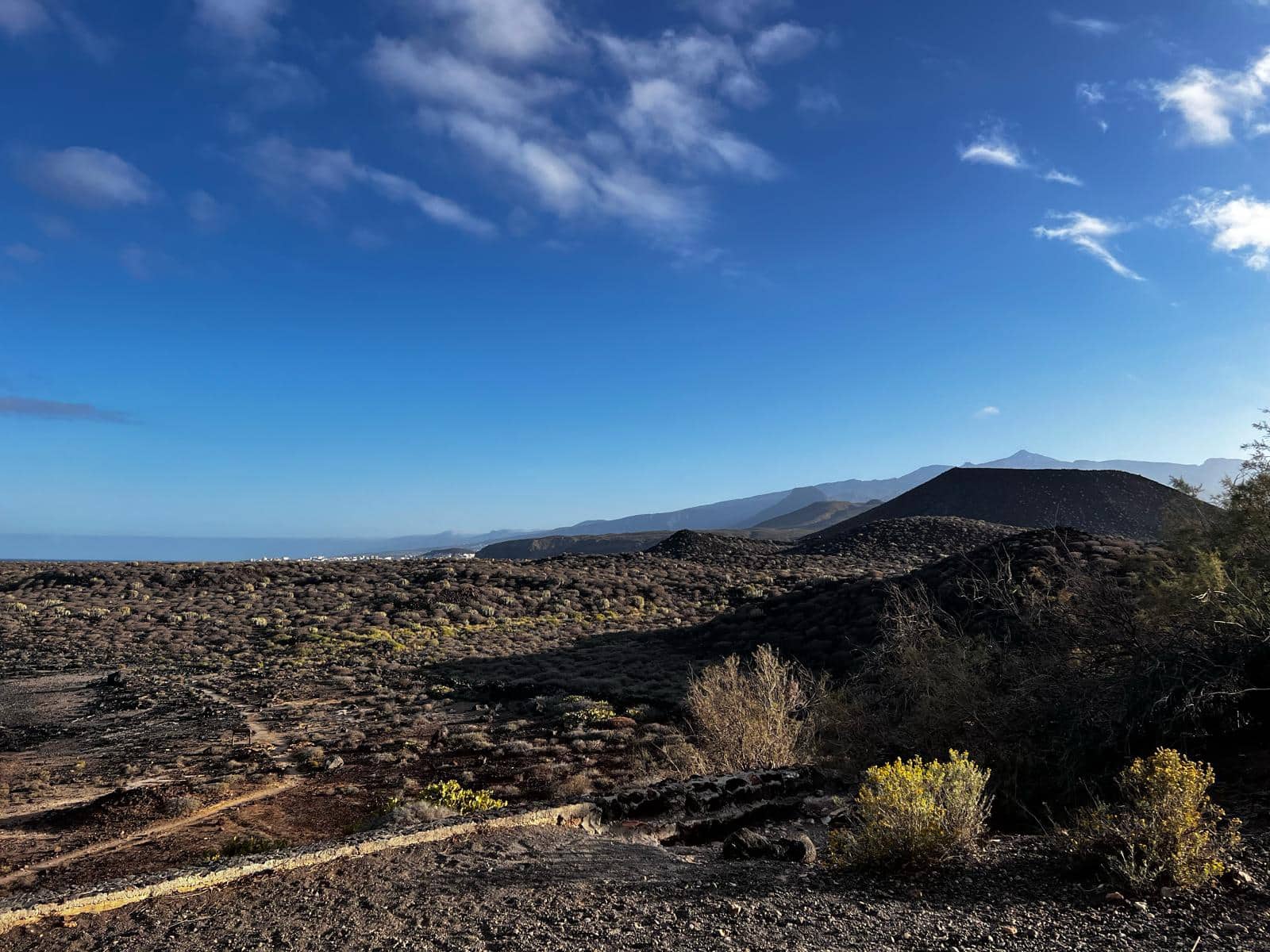 2 soveværelse Strandlejlighed til salg i Palm-Mar med swimmingpool garage - € 650.000 (Ref: 8981082)