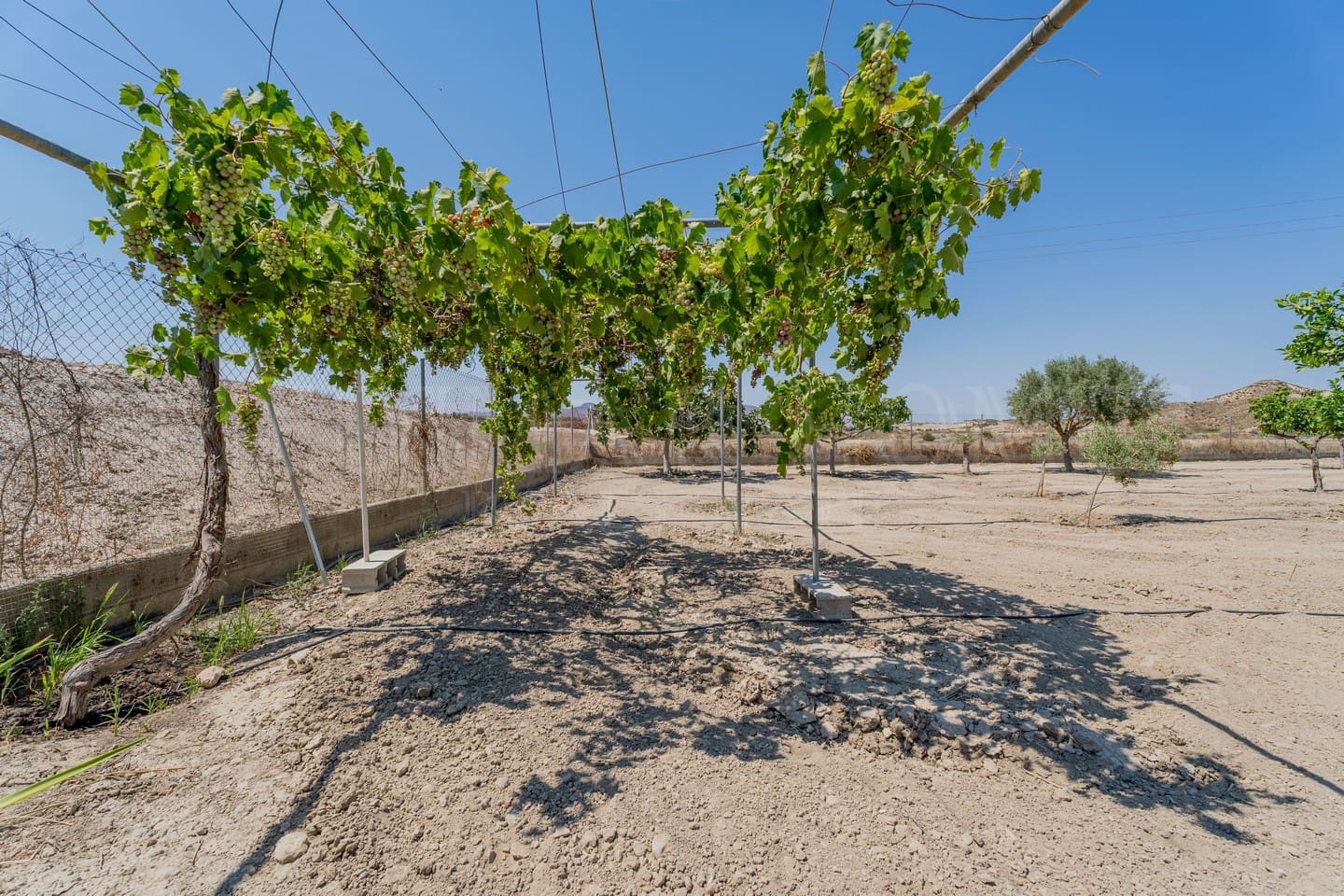 2 sypialnia Finka/Dom wiejski na sprzedaż w Burjulu - 139 950 € (Ref: 9110714)