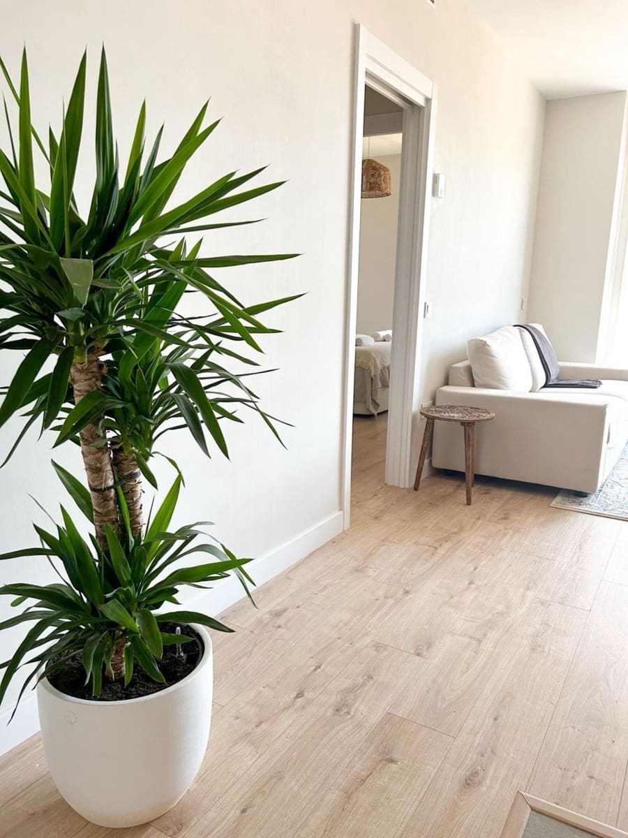 Apartamento de 1 habitación en Málaga ciudad en venta - 379.500 € (Ref: 9904018)