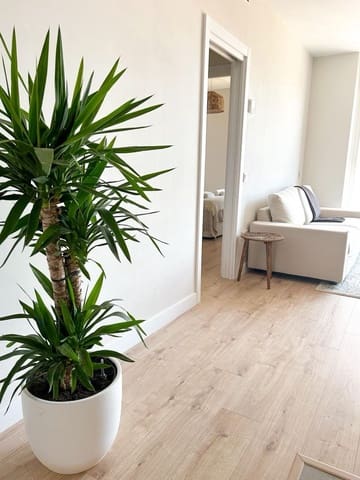 Apartamento de 1 habitación en Martiricos, Málaga ciudad en venta - 379.500 € (Ref: 9904018)