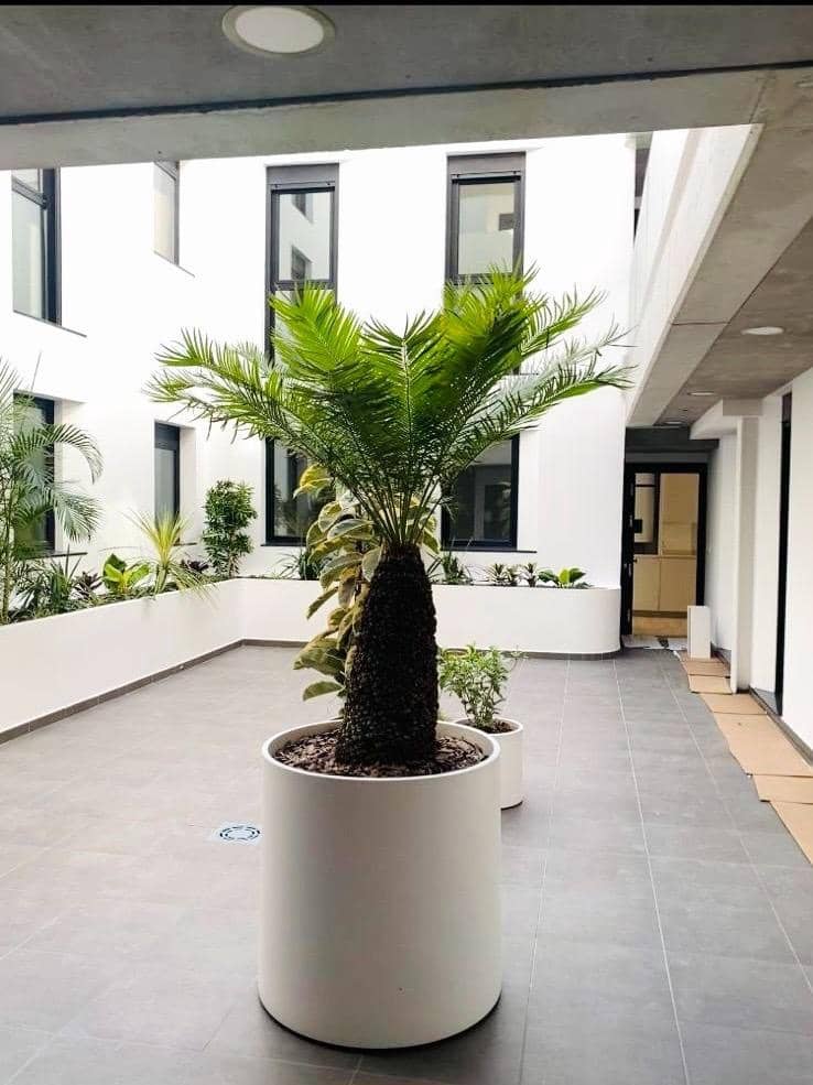 2 sypialnia Mieszkanie do wynajęcia w Las Palmas de Gran Canaria - 900 € (Ref: 10013416)