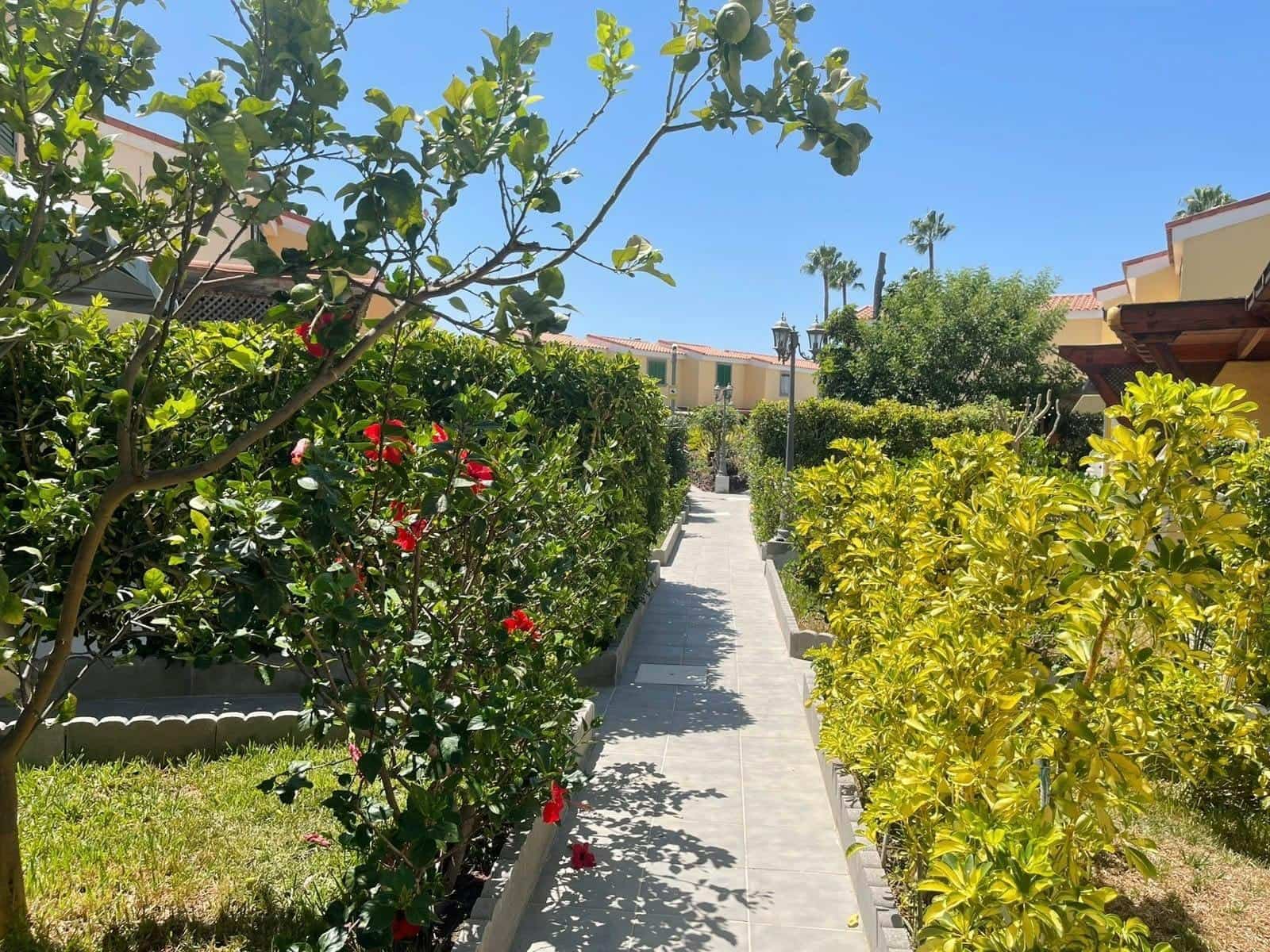 2 makuuhuone Bungalow vuokrattavana paikassa Maspalomas mukana uima-altaan - 950 € (Ref: 10027394)