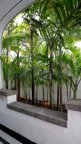 Chalet de 5 habitaciones en Ciudad Jardín, Las Palmas de Gran Canaria en alquiler con piscina garaje - 4.950 € (Ref: 10047424)