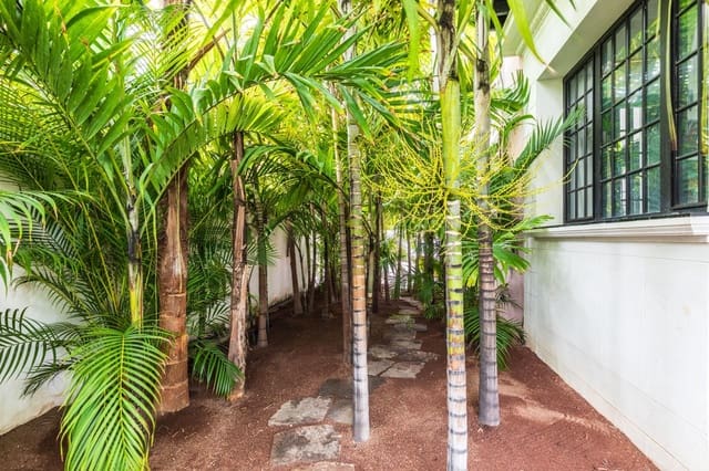 Chalet de 5 habitaciones en Ciudad Jardín, Las Palmas de Gran Canaria en alquiler con piscina garaje - 4.950 € (Ref: 10047424)