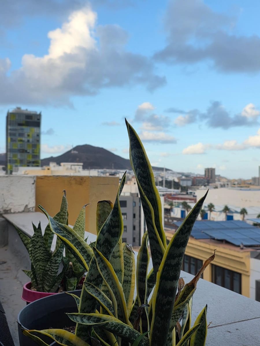 Penthouse de 2 chambres à louer à Las Palmas de Gran Canaria avec garage - 1 750 € (Ref: 10158003)