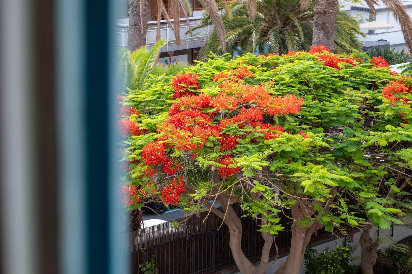 15 sovrum Villa till salu i Las Palmas de Gran Canaria med pool garage - 998 000 € (Ref: 8547921)