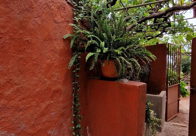 2 soverom Finca/Herregård til salgs i Gáldar - € 124 900 (Ref: 8547926)