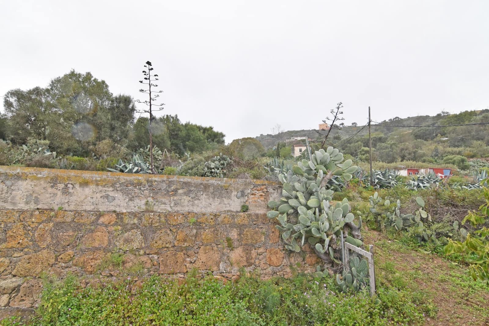 2 bedroom Finca/Country House for sale in Santa Brigida - € 200,000 (Ref: 8547948)