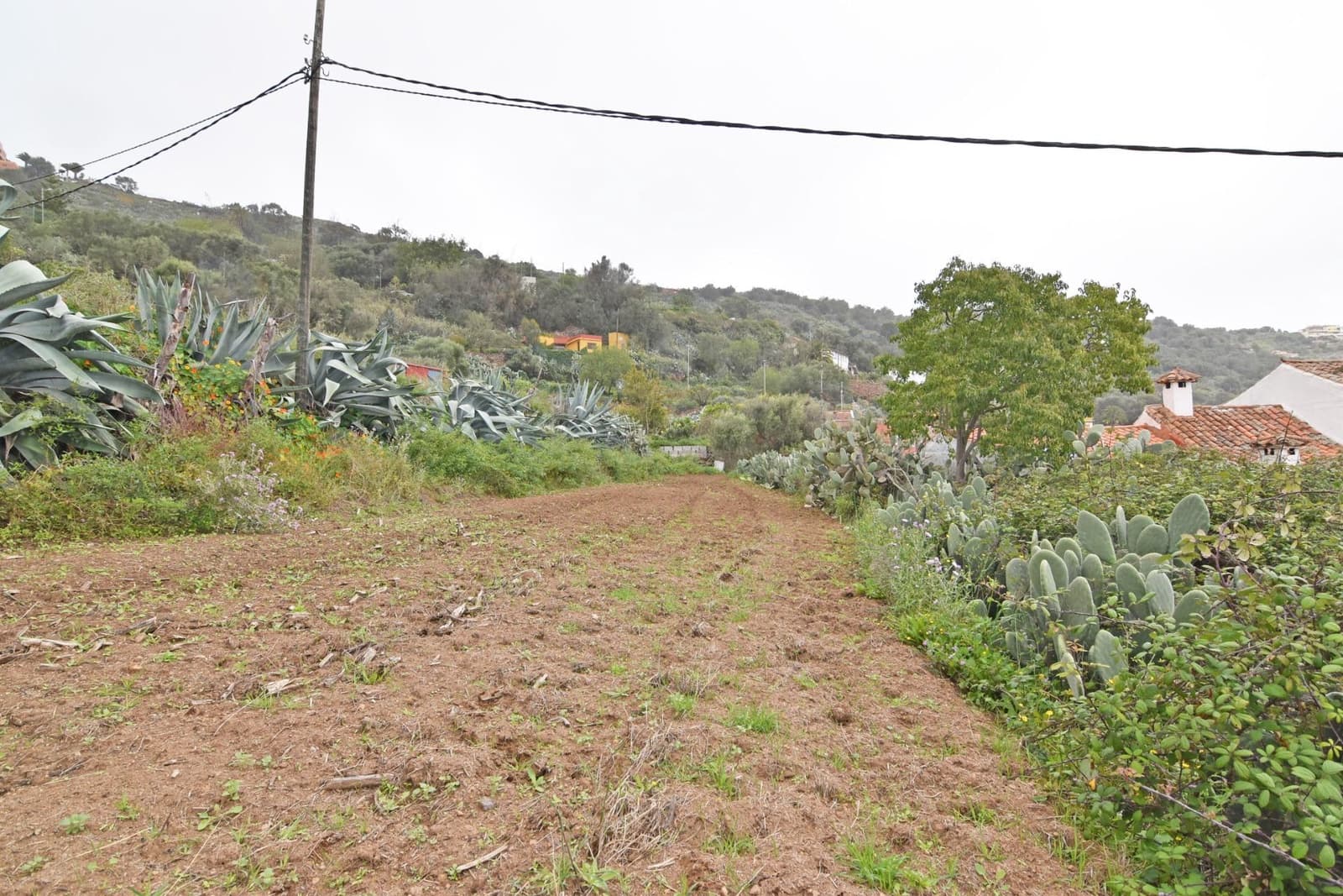 2 bedroom Finca/Country House for sale in Santa Brigida - € 200,000 (Ref: 8547948)