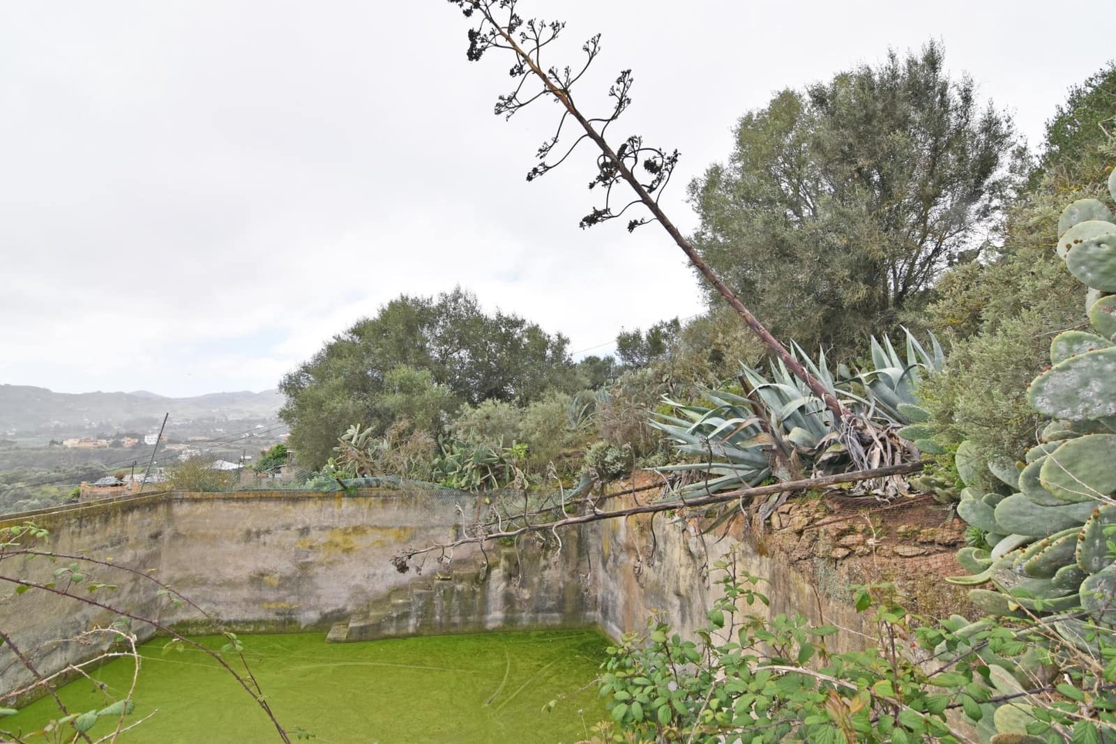 2 bedroom Finca/Country House for sale in Santa Brigida - € 200,000 (Ref: 8547948)