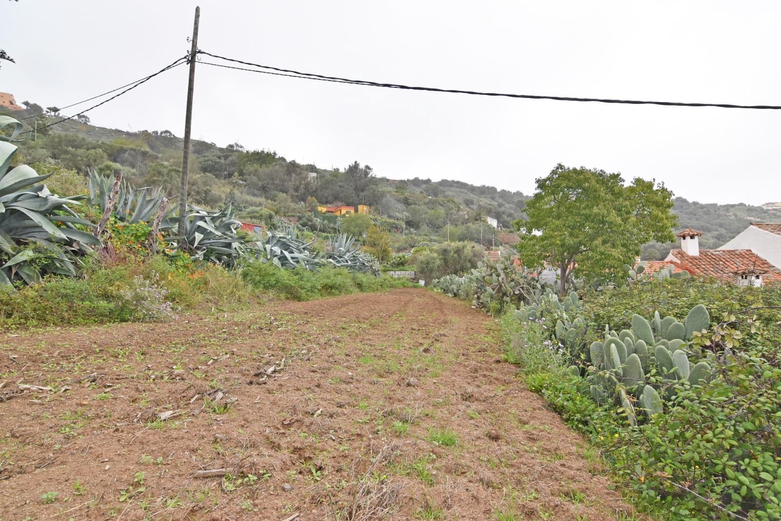 2 bedroom Finca/Country House for sale in Santa Brigida - € 200,000 (Ref: 8547948)