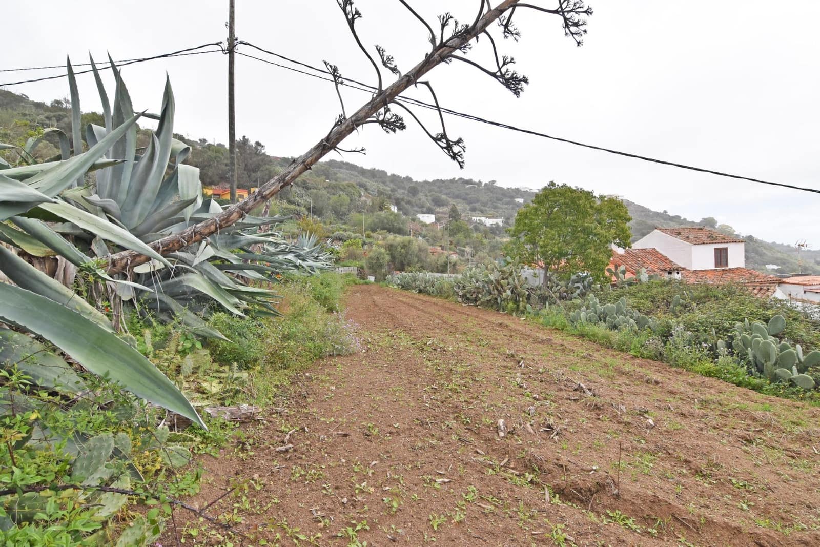 2 bedroom Finca/Country House for sale in Santa Brigida - € 200,000 (Ref: 8547948)