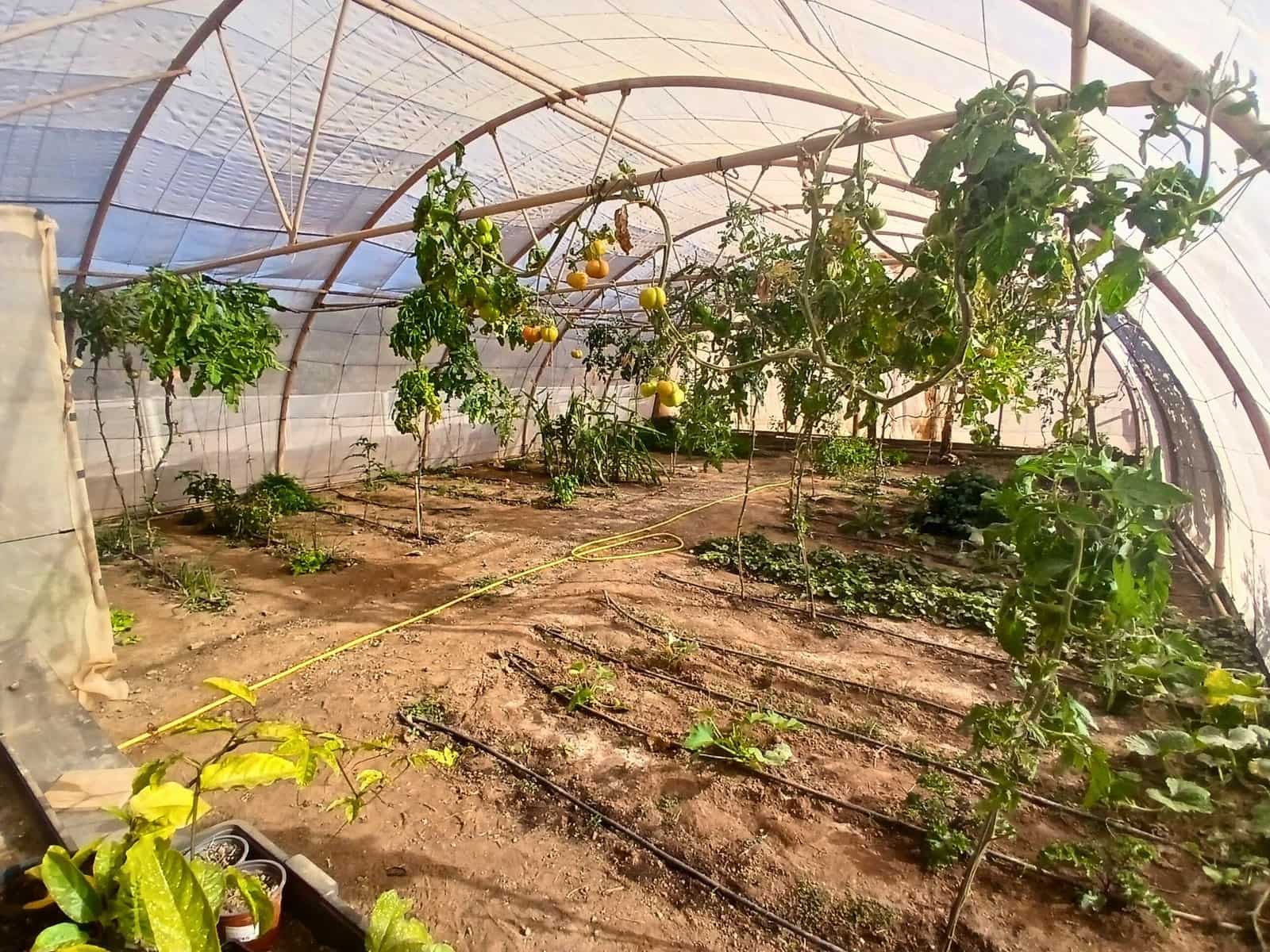 4 soverom Villa til salgs i Tuineje med svømmebasseng garasje - € 540 000 (Ref: 8825315)