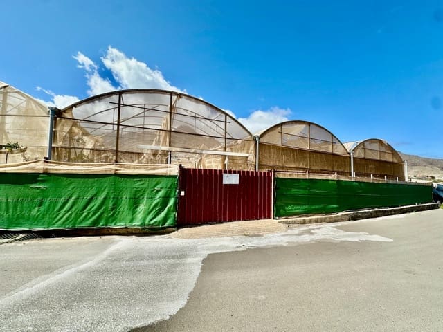 Grunde uden byggetilladelser til salg i La Aldea de San Nicolas - € 210.000 (Ref: 8968379)