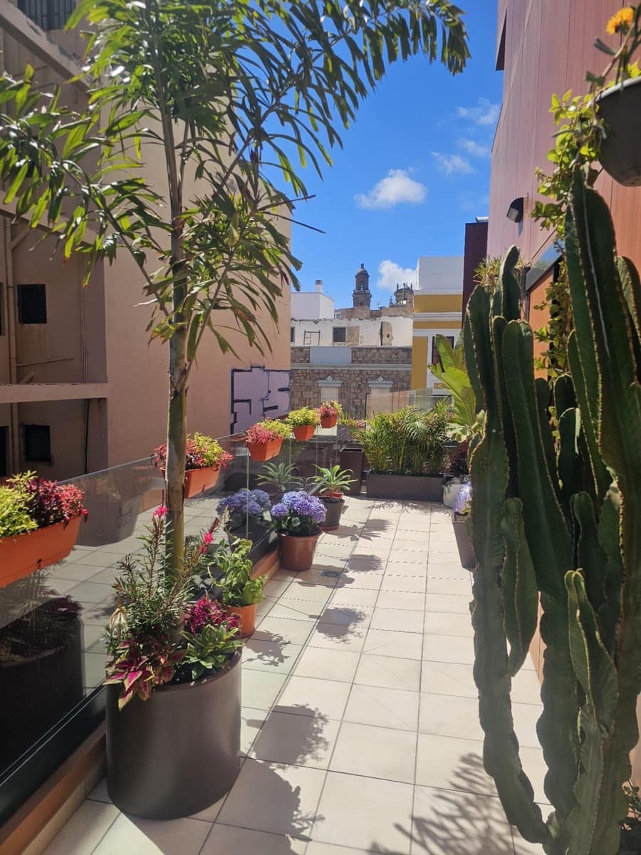 1 quarto Apartamento para venda em Las Palmas de Gran Canaria - 383 000 € (Ref: 9197765)
