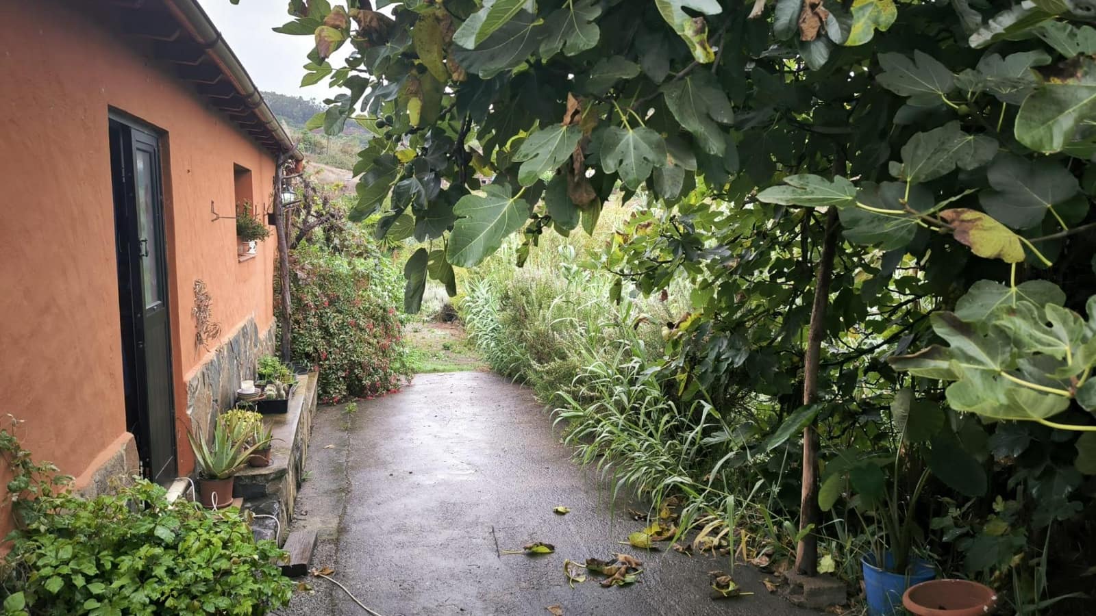 2 soveværelse Finca/Landehus til salg i Moya med garage - € 185.000 (Ref: 9285248)