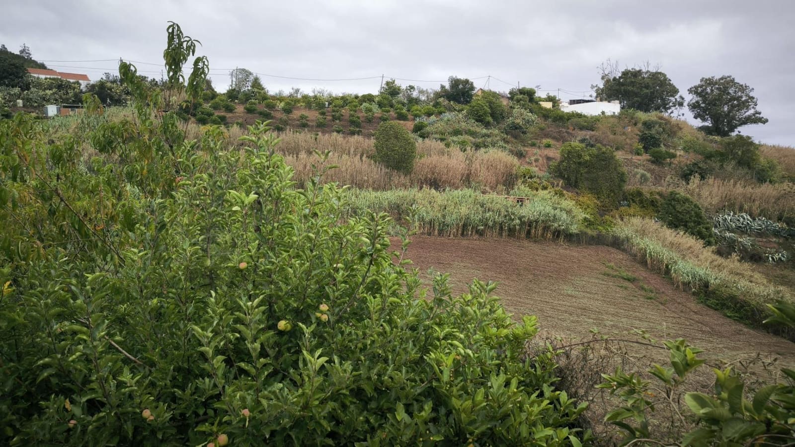 2 soveværelse Finca/Landehus til salg i Moya med garage - € 185.000 (Ref: 9285248)