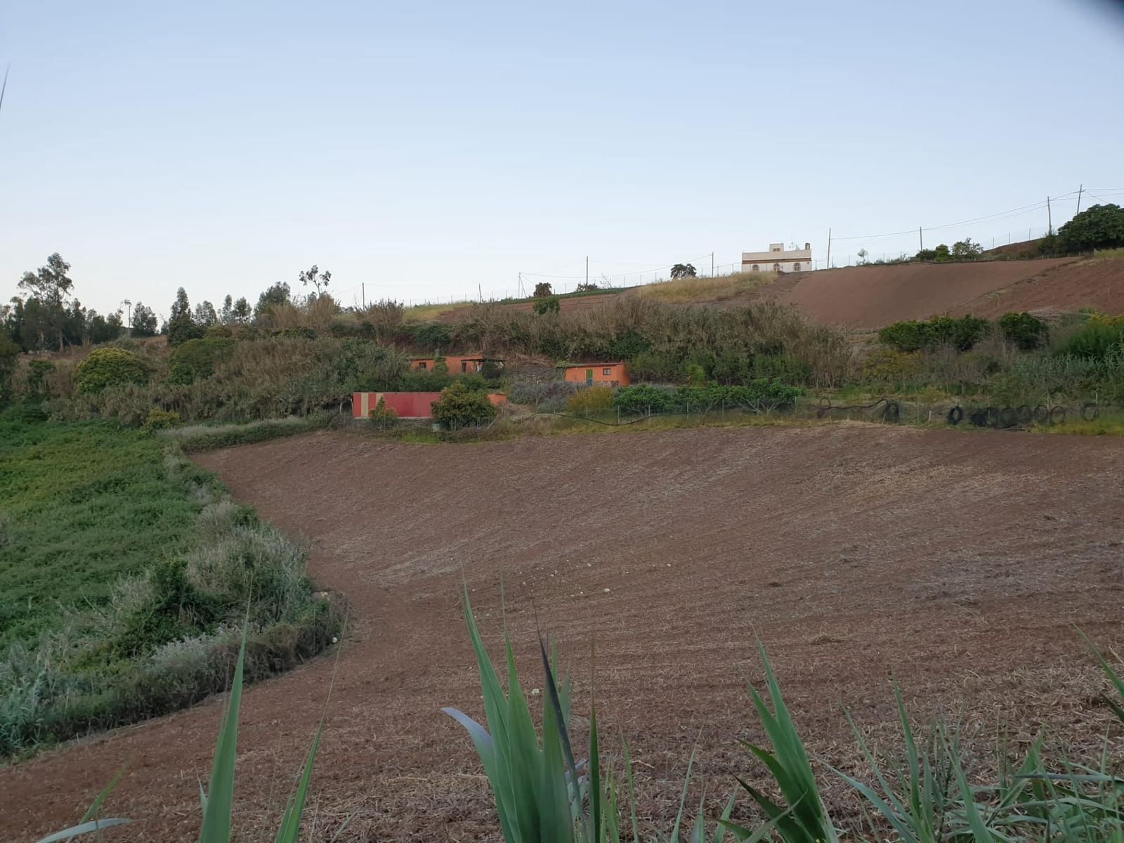 2 soveværelse Finca/Landehus til salg i Moya med garage - € 185.000 (Ref: 9285248)