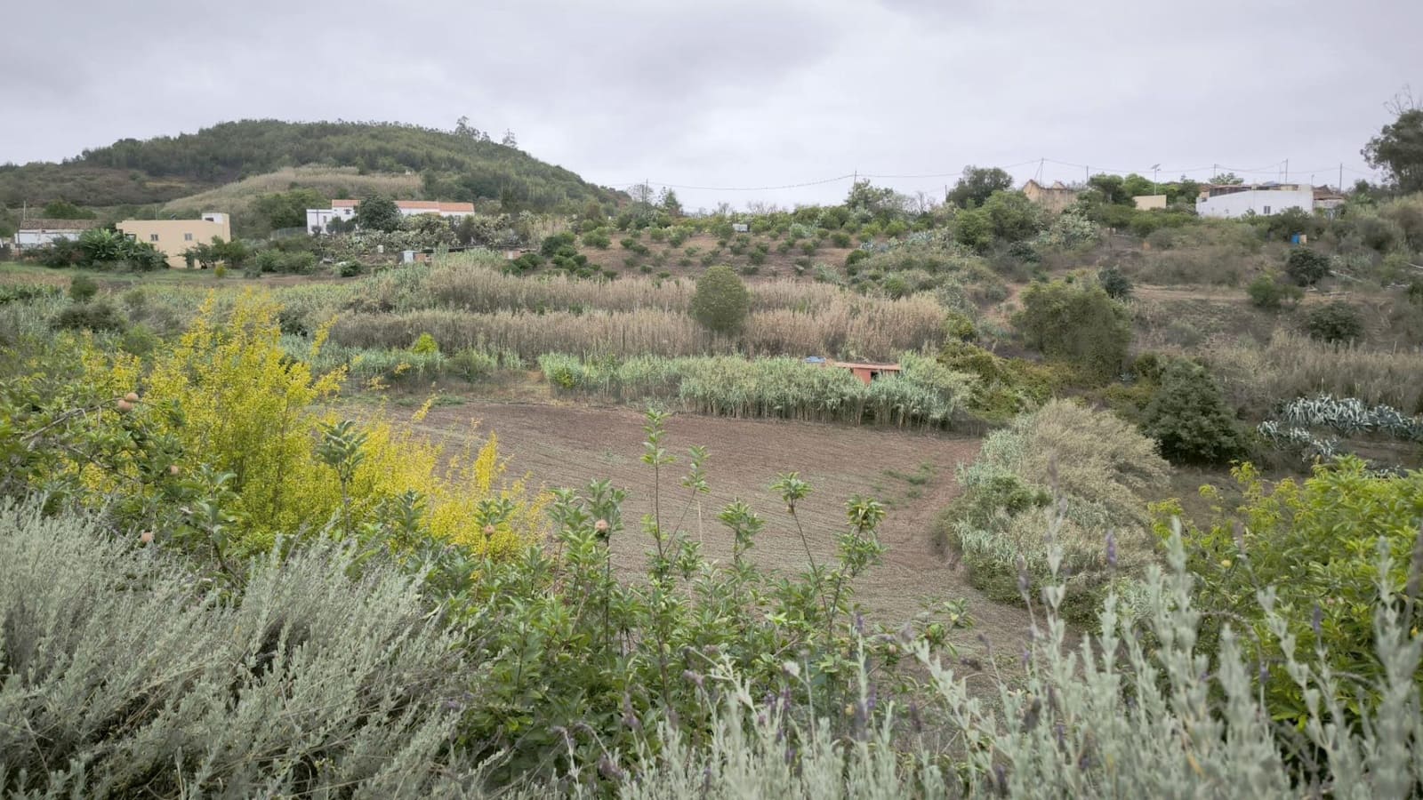 2 soveværelse Finca/Landehus til salg i Moya med garage - € 185.000 (Ref: 9285248)