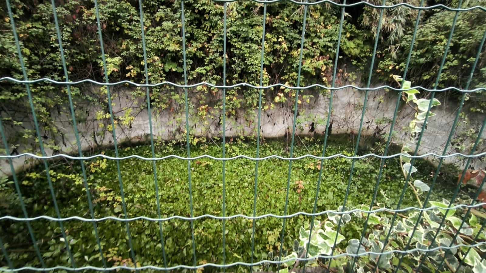 2 soveværelse Finca/Landehus til salg i Moya med garage - € 185.000 (Ref: 9285248)