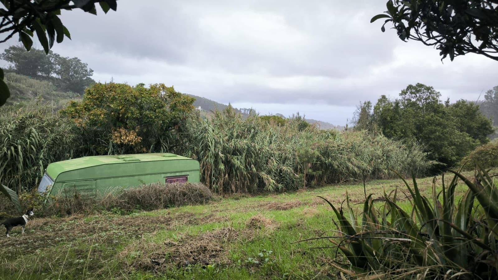 2 soveværelse Finca/Landehus til salg i Moya med garage - € 185.000 (Ref: 9285248)