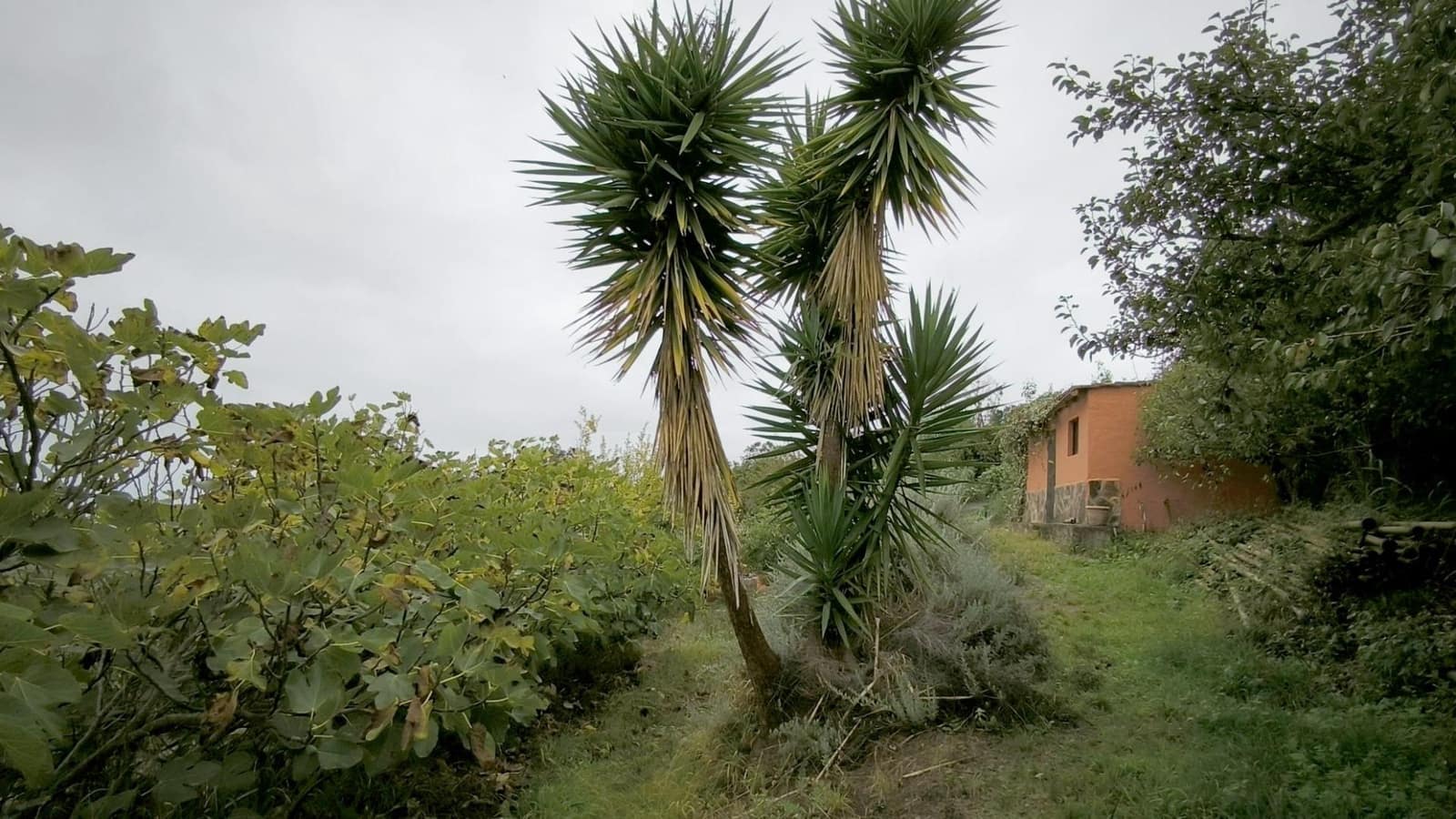 2 soveværelse Finca/Landehus til salg i Moya med garage - € 185.000 (Ref: 9285248)