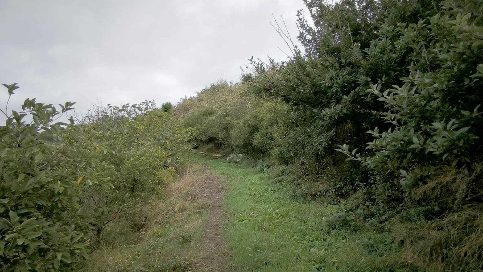 2 soveværelse Finca/Landehus til salg i Moya med garage - € 185.000 (Ref: 9285248)