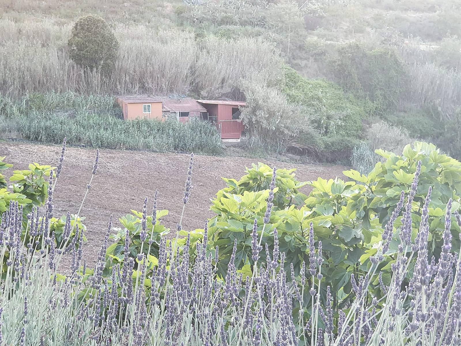 2 soveværelse Finca/Landehus til salg i Moya med garage - € 185.000 (Ref: 9285248)