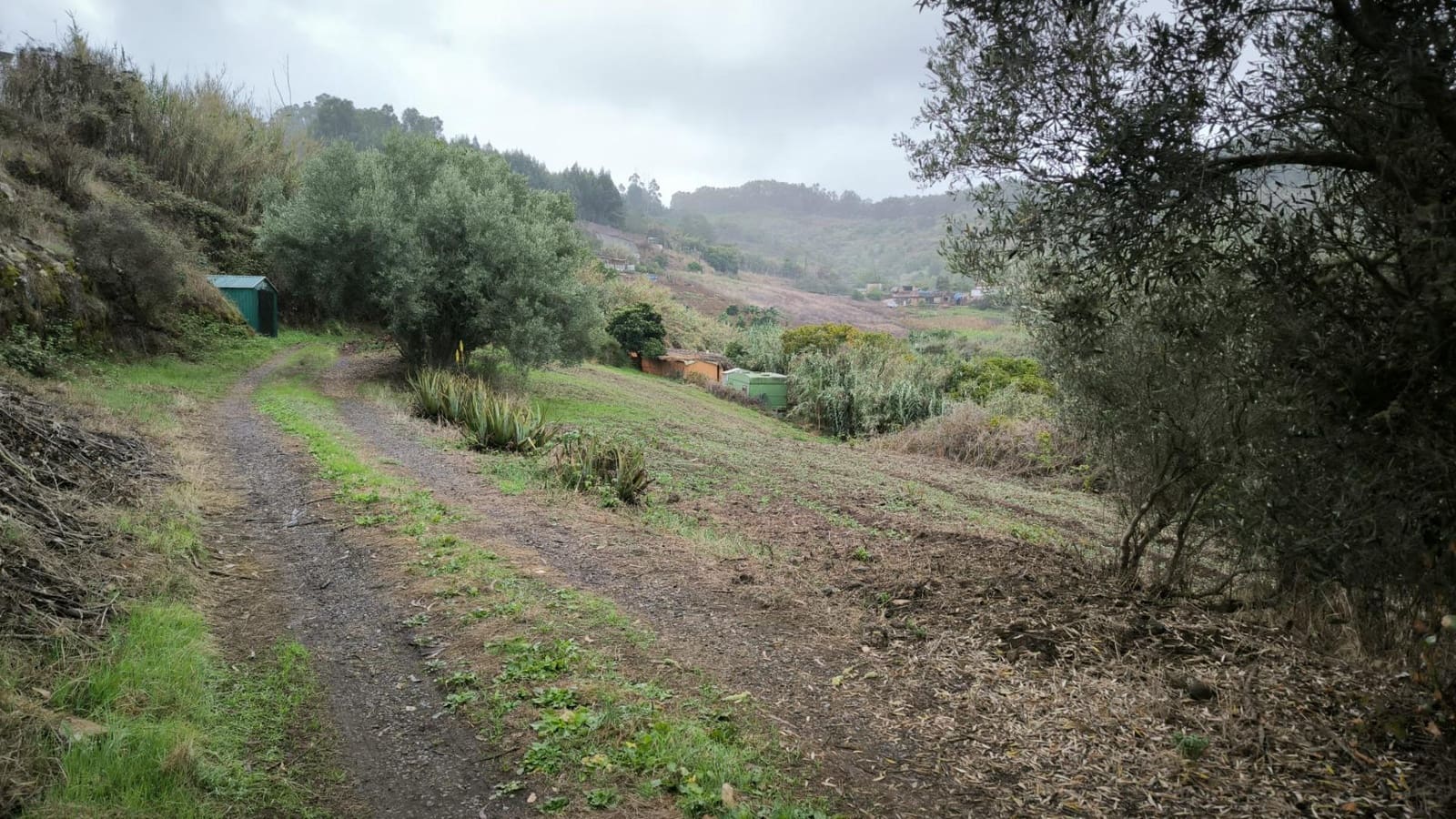 2 soveværelse Finca/Landehus til salg i Moya med garage - € 185.000 (Ref: 9285248)