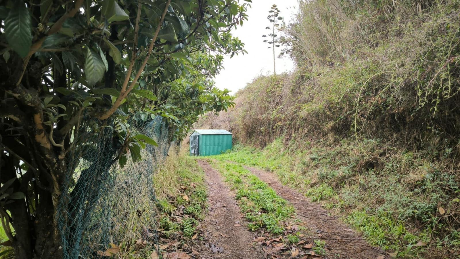 2 soveværelse Finca/Landehus til salg i Moya med garage - € 185.000 (Ref: 9285248)