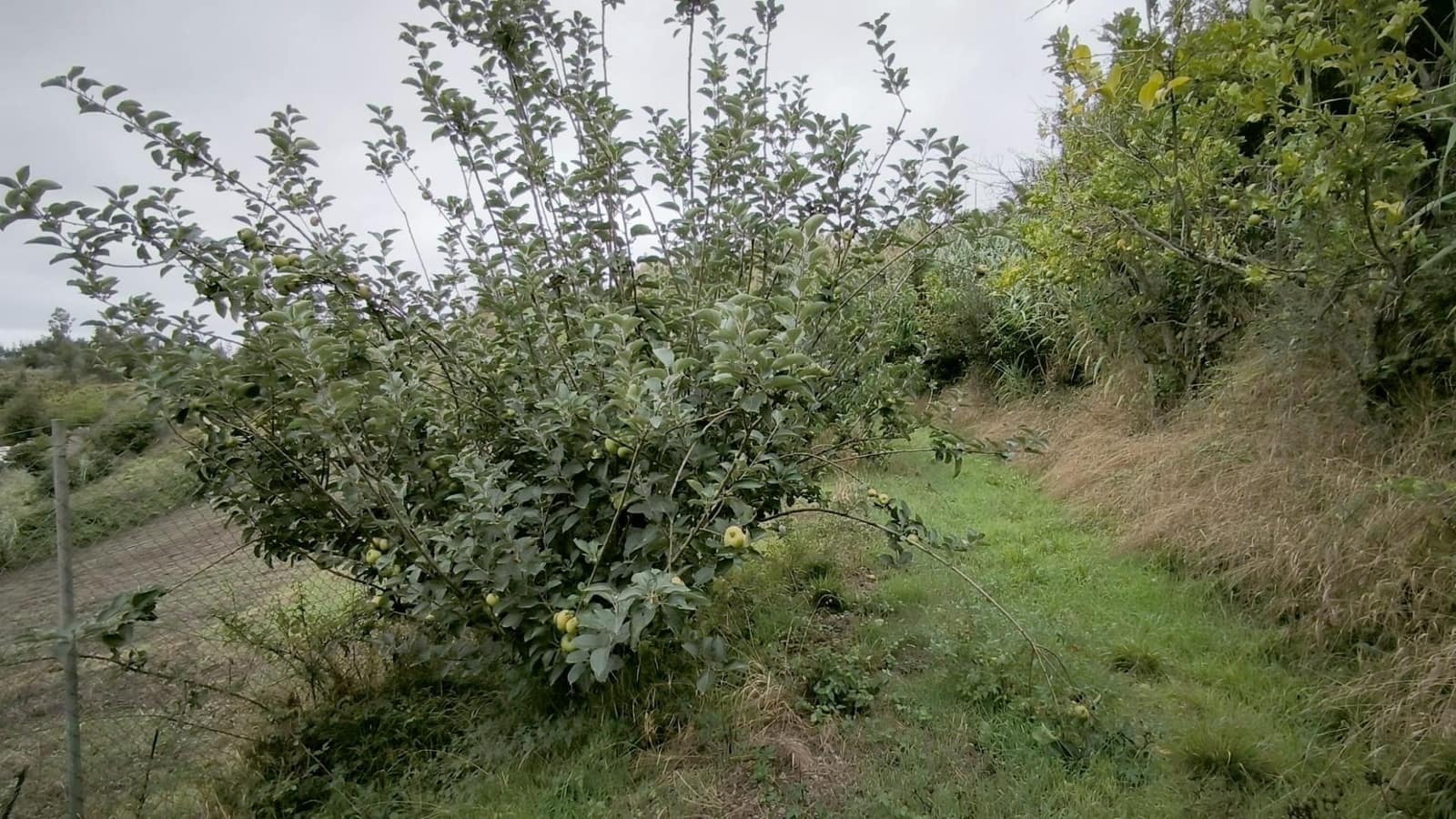 2 soveværelse Finca/Landehus til salg i Moya med garage - € 185.000 (Ref: 9285248)