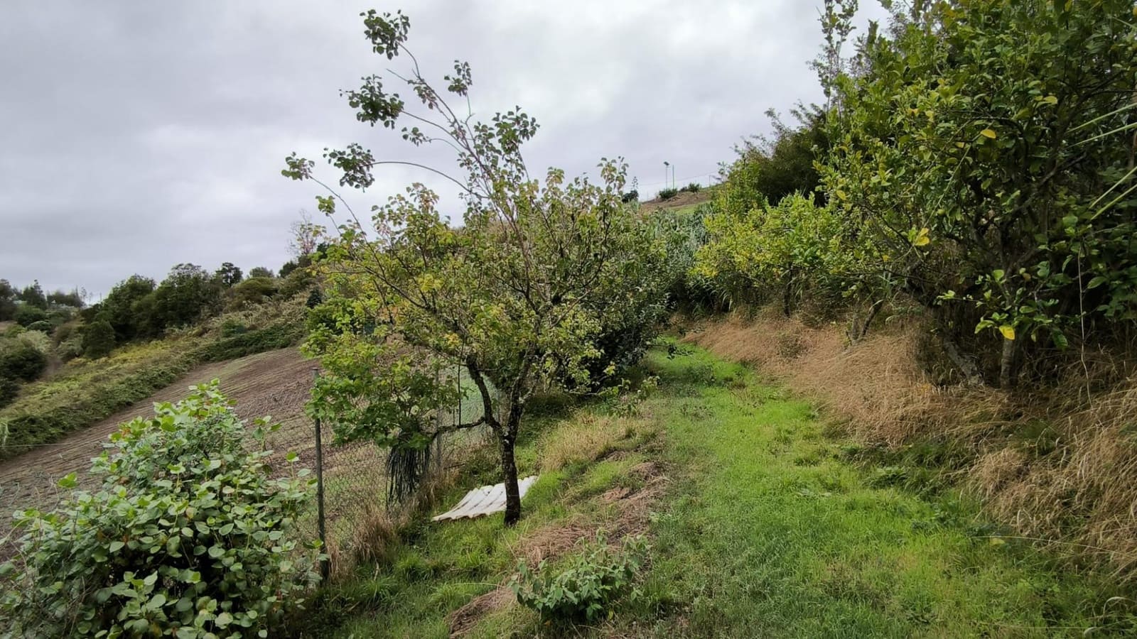 2 soveværelse Finca/Landehus til salg i Moya med garage - € 185.000 (Ref: 9285248)