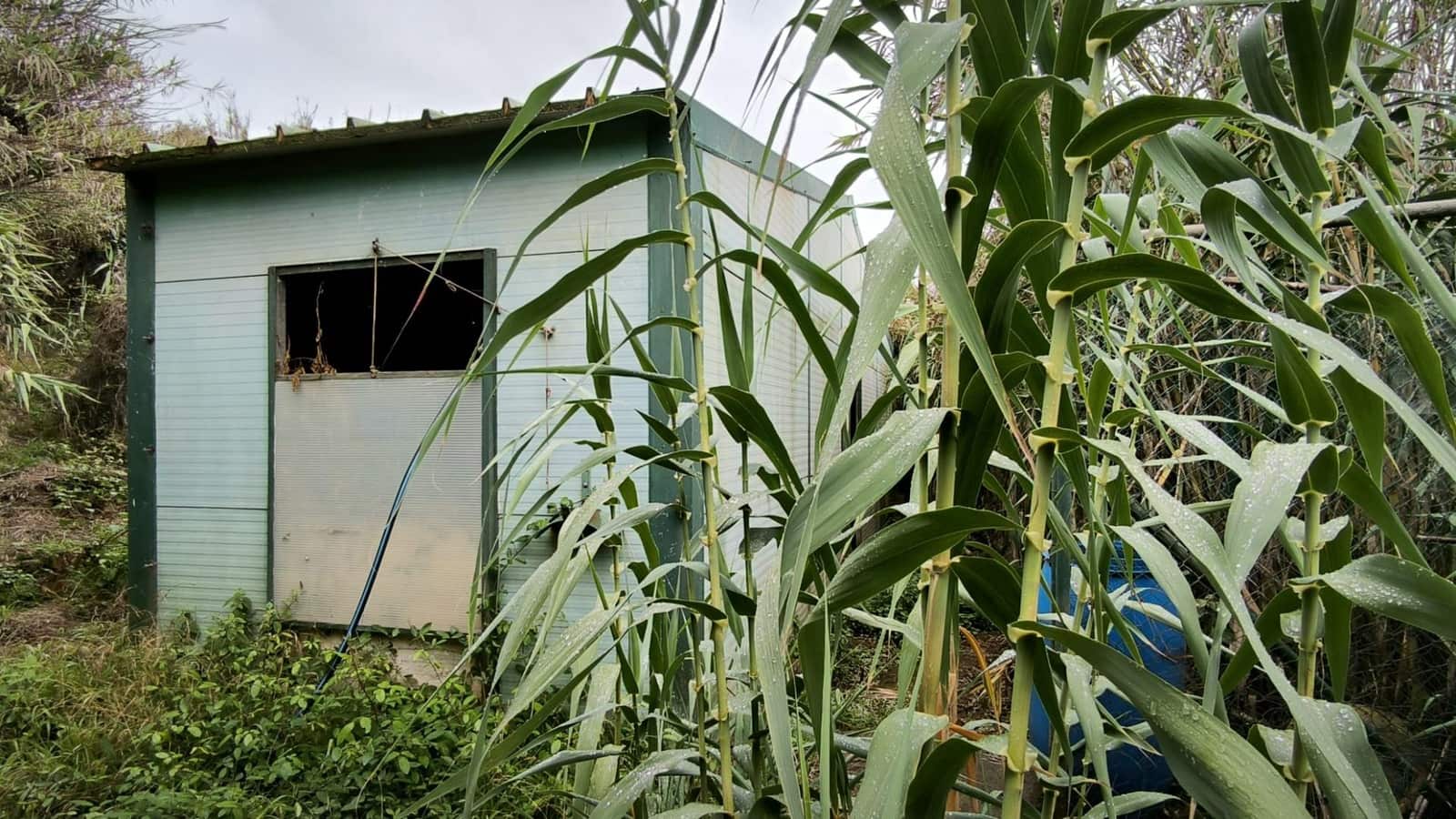 2 soveværelse Finca/Landehus til salg i Moya med garage - € 185.000 (Ref: 9285248)