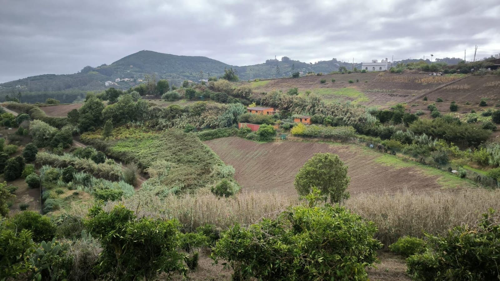 2 soveværelse Finca/Landehus til salg i Moya med garage - € 185.000 (Ref: 9285248)