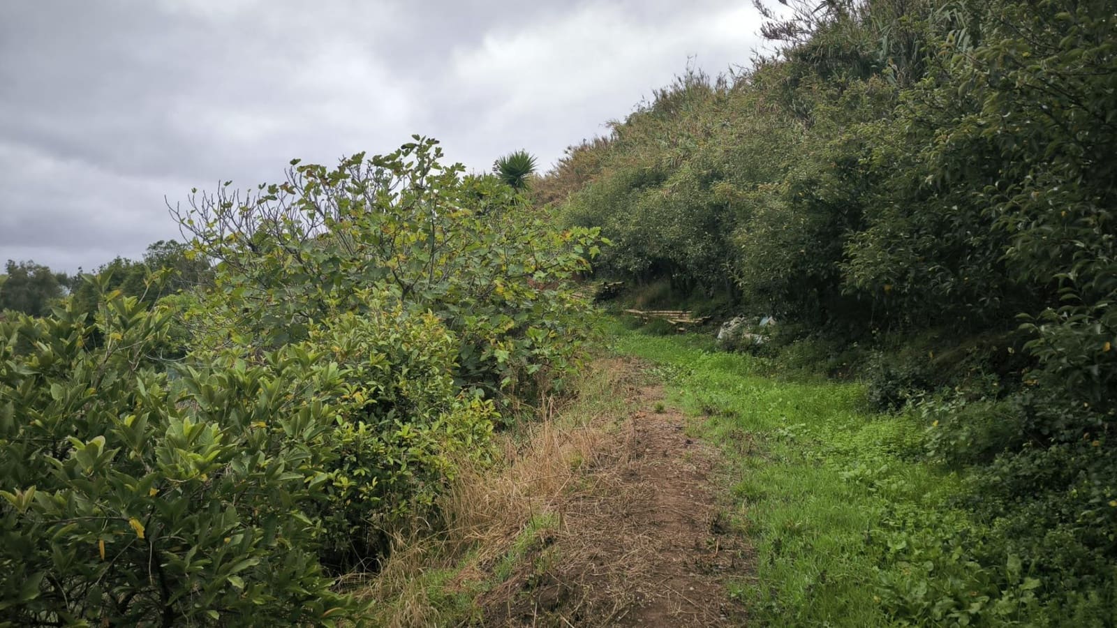 2 soveværelse Finca/Landehus til salg i Moya med garage - € 185.000 (Ref: 9285248)