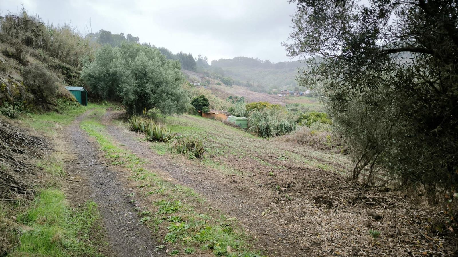 2 soveværelse Finca/Landehus til salg i Moya med garage - € 185.000 (Ref: 9285248)