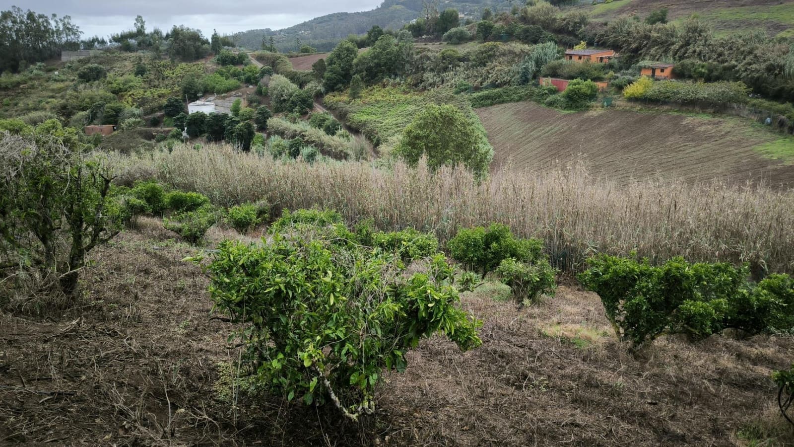 2 soveværelse Finca/Landehus til salg i Moya med garage - € 185.000 (Ref: 9285248)