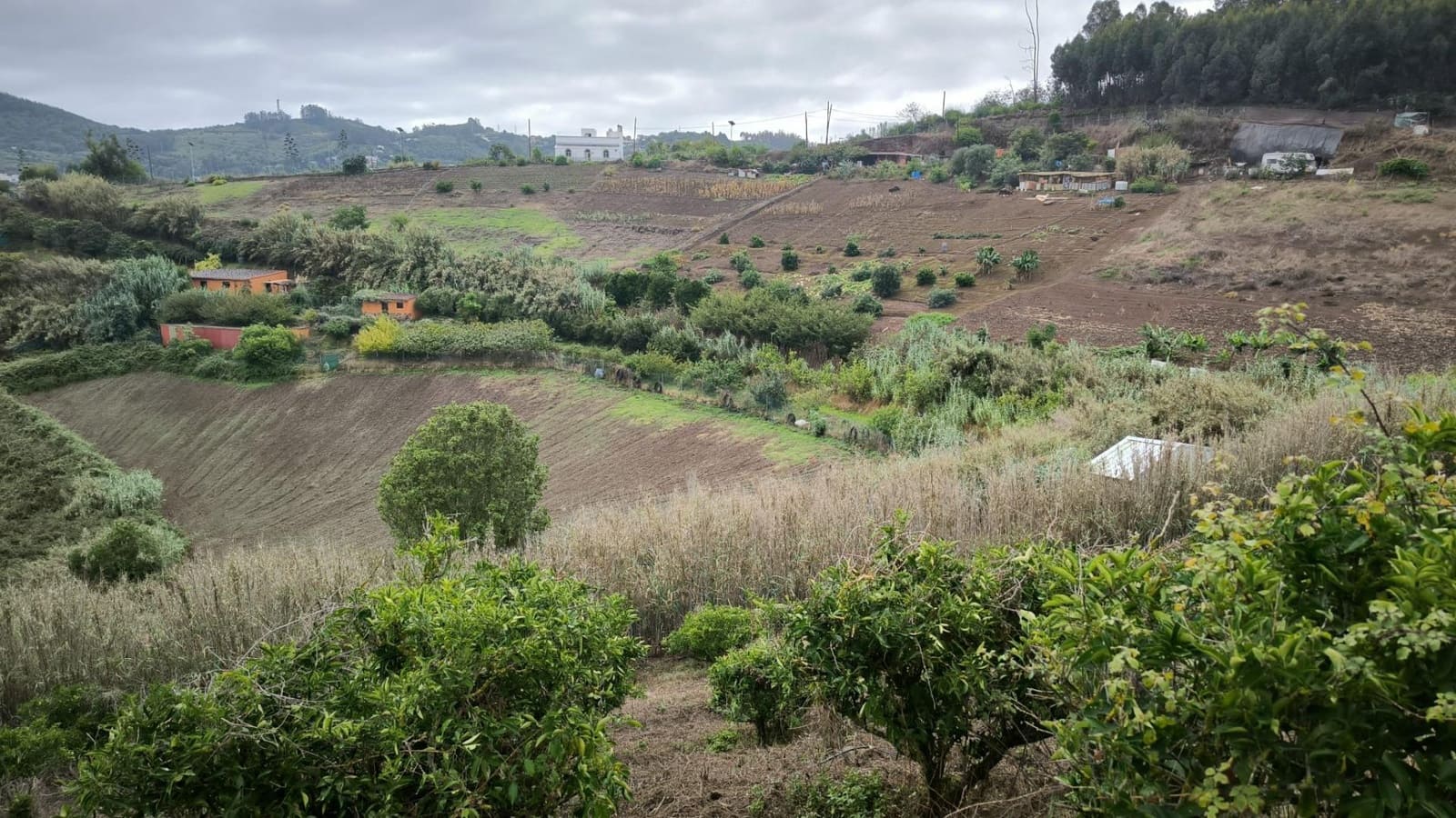 2 soveværelse Finca/Landehus til salg i Moya med garage - € 185.000 (Ref: 9285248)