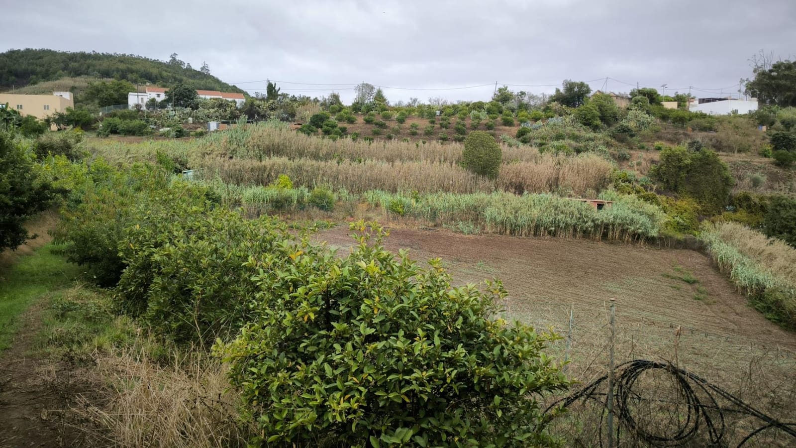 2 soveværelse Finca/Landehus til salg i Moya med garage - € 185.000 (Ref: 9285248)