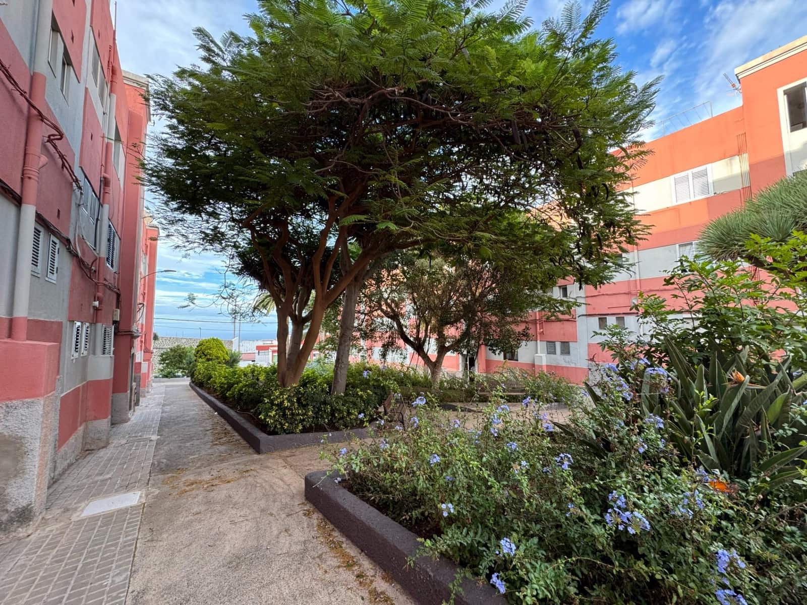 2 soveværelse Lejlighed til salg i Santa Maria de Guia de Gran Canaria - € 94.000 (Ref: 9321932)