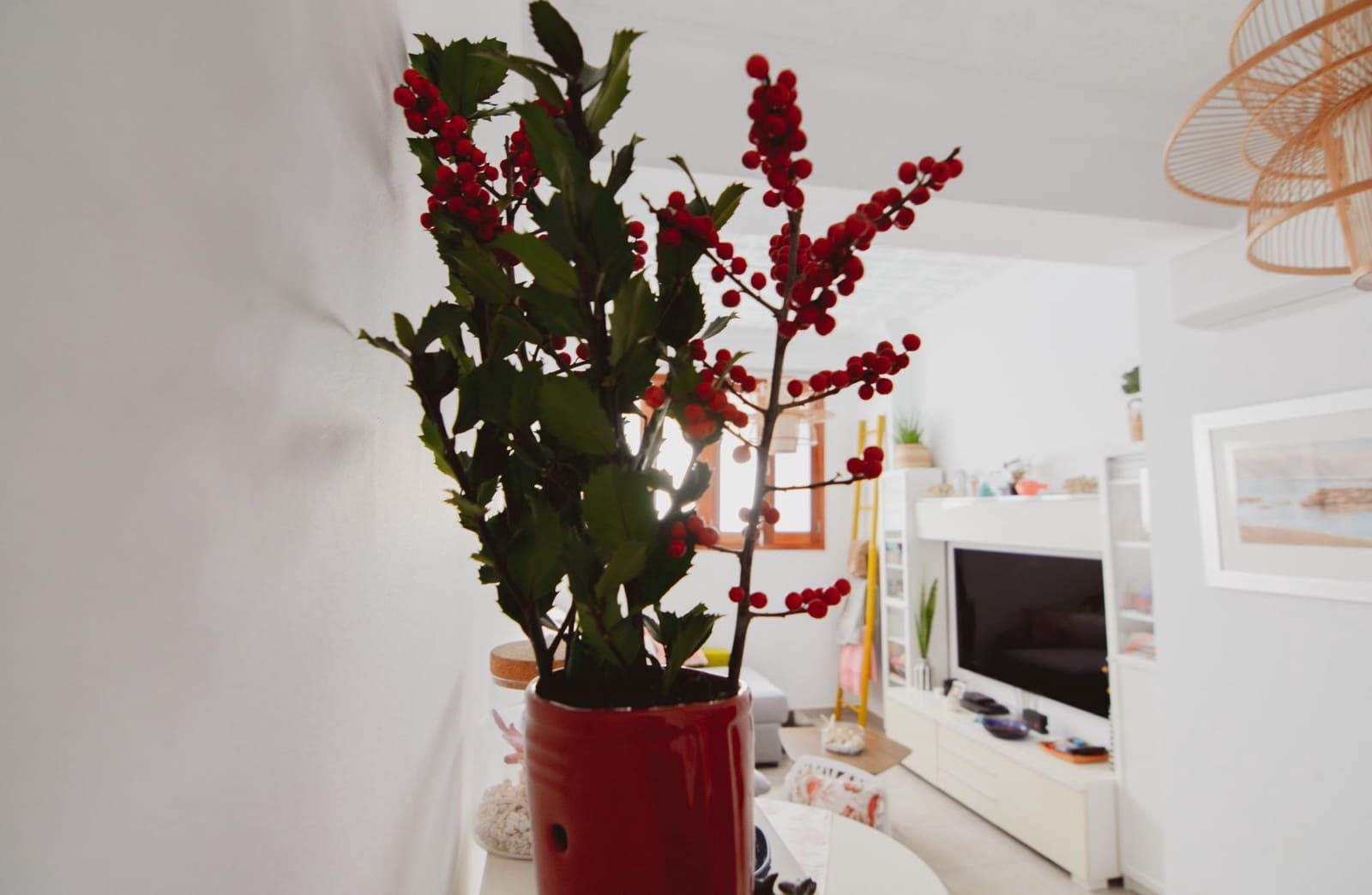 3 soverom Hus til salgs i Las Palmas de Gran Canaria - € 580 000 (Ref: 9438043)