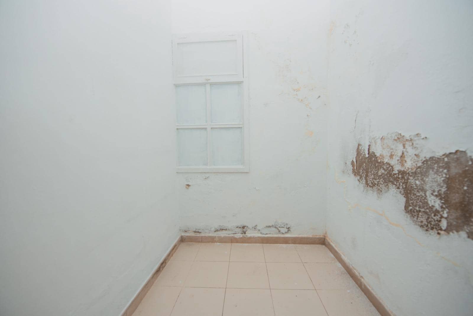 Gewerbe zu verkaufen in Las Palmas de Gran Canaria - 425.000 € (Ref: 9780598)