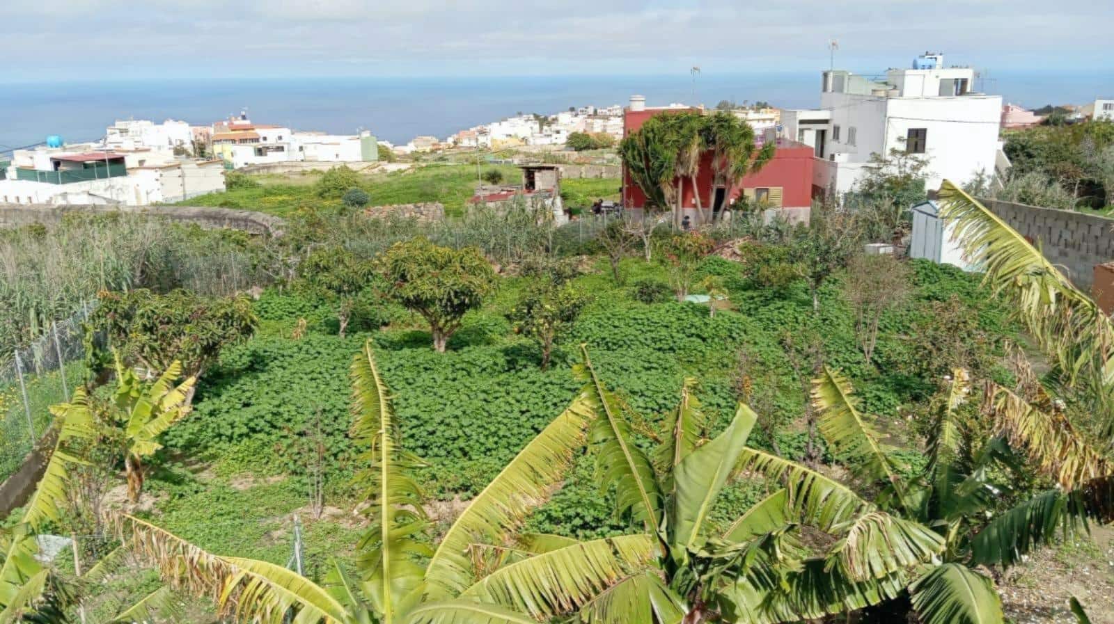 2 slaapkamer Finca/Landhuis te koop in Moya - € 159.000 (Ref: 9797151)