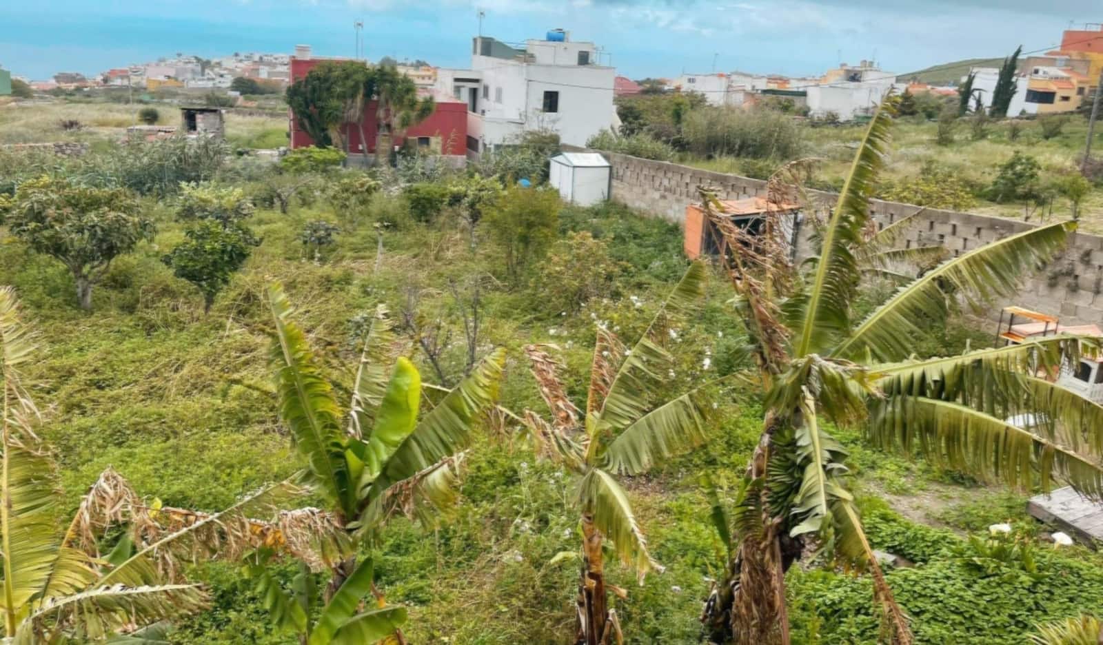 2 slaapkamer Finca/Landhuis te koop in Moya - € 159.000 (Ref: 9797151)