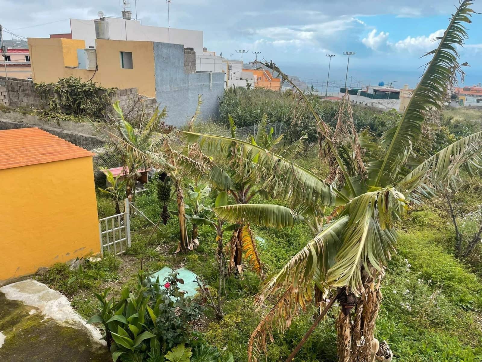 2 slaapkamer Finca/Landhuis te koop in Moya - € 159.000 (Ref: 9797151)