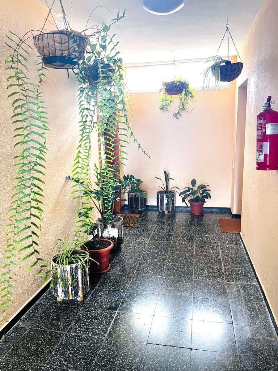 3 camera da letto Appartamento da affittare in Las Palmas de Gran Canaria - 900 € (Rif: 9799296)