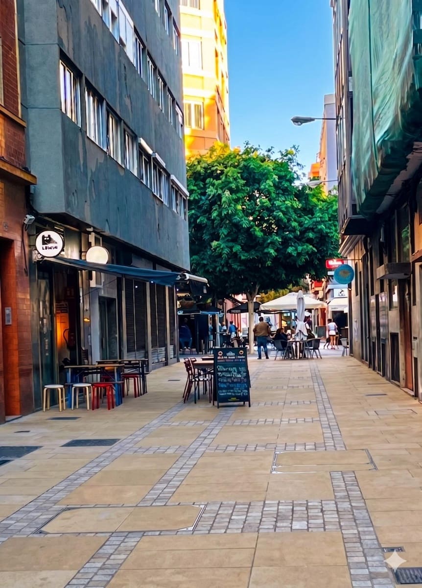 4 soverom Leilighet til leie i Las Palmas de Gran Canaria - € 1 500 (Ref: 9836284)