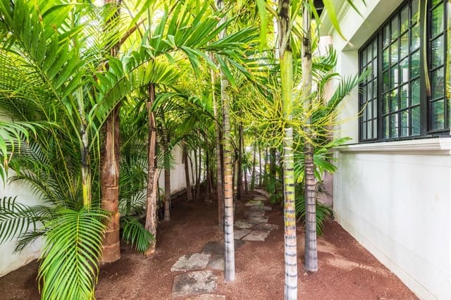 5 quarto Moradia para venda em Ciudad Jardín, Las Palmas de Gran Canaria com piscina garagem - 1 285 000 € (Ref: 9873542)