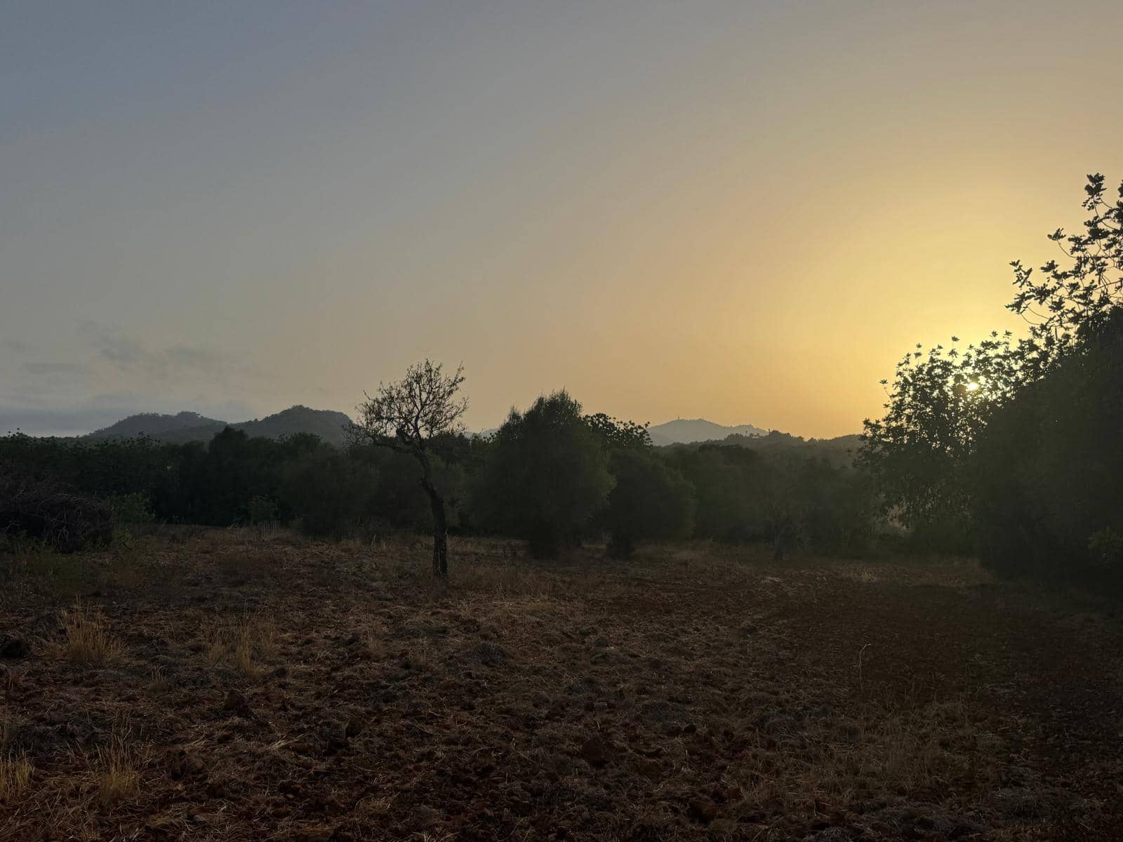 3 Zimmer Finca/Landgut zu vermieten in Portocolom mit Pool Garage - 4.000 € (Ref: 10021306)